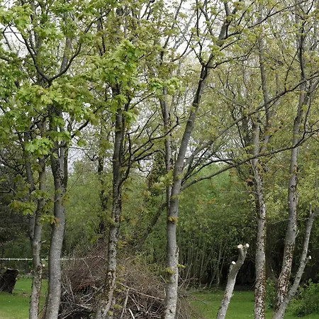 Renovated Estate With Private Roslev