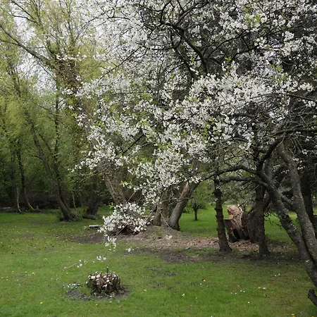 Сasa de vacaciones Renovated Estate With Private *