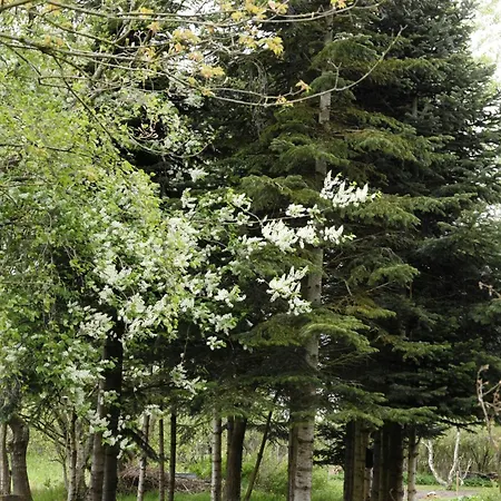 Feriehus Renovated Estate With Private