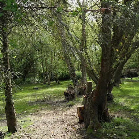 Renovated Estate With Private Сasa de vacaciones Roslev