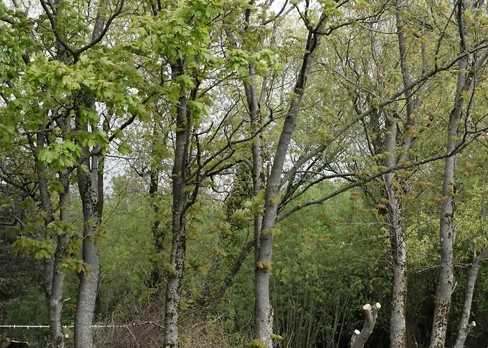 Renovated Estate With Private Roslev