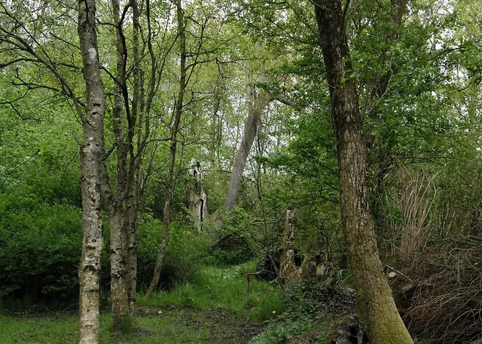 Hébergement de vacances Renovated Estate With Private Roslev