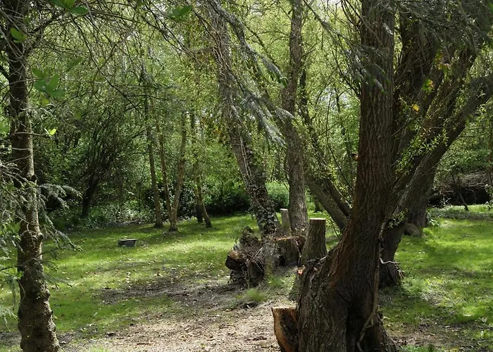 Renovated Estate With Private Hébergement de vacances Roslev